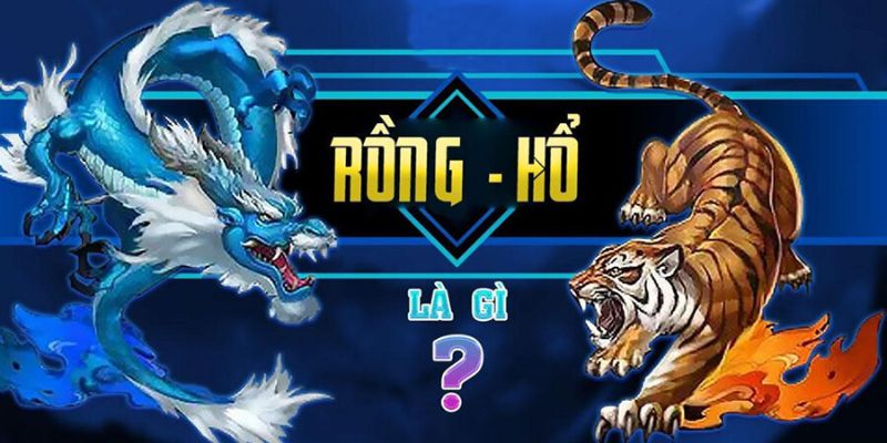 Mẹo chơi Rồng Hổ