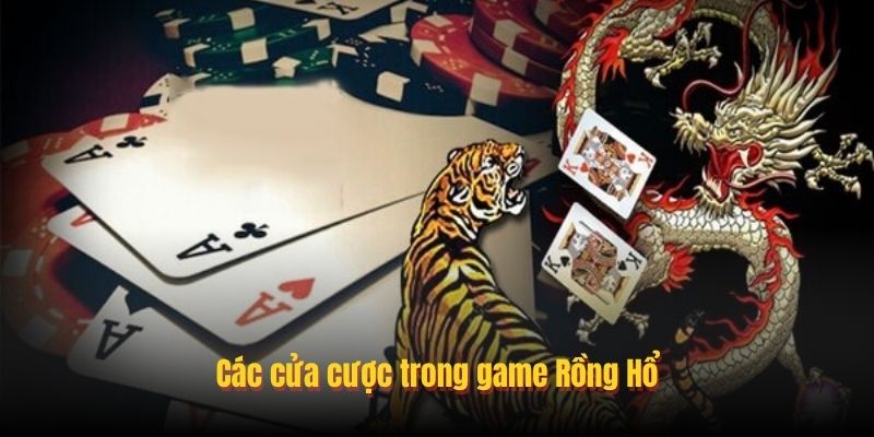 Mẹo chơi Rồng Hổ dựa trên xác suất